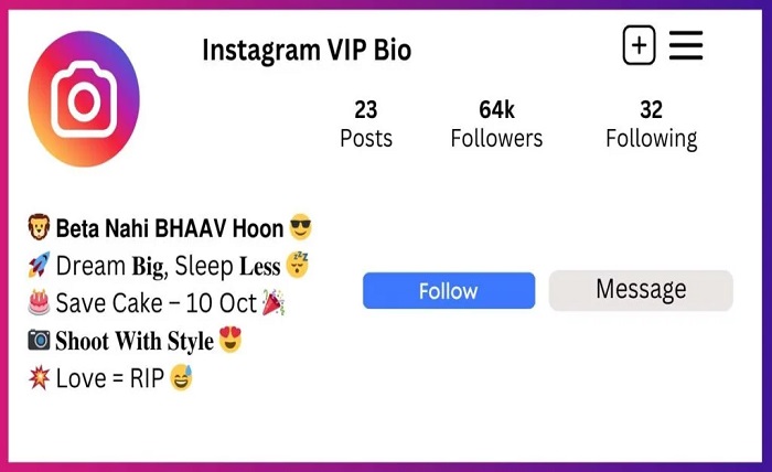 instagram vip bio