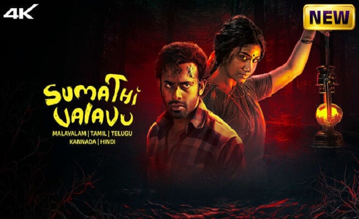 mallumv dvdplay